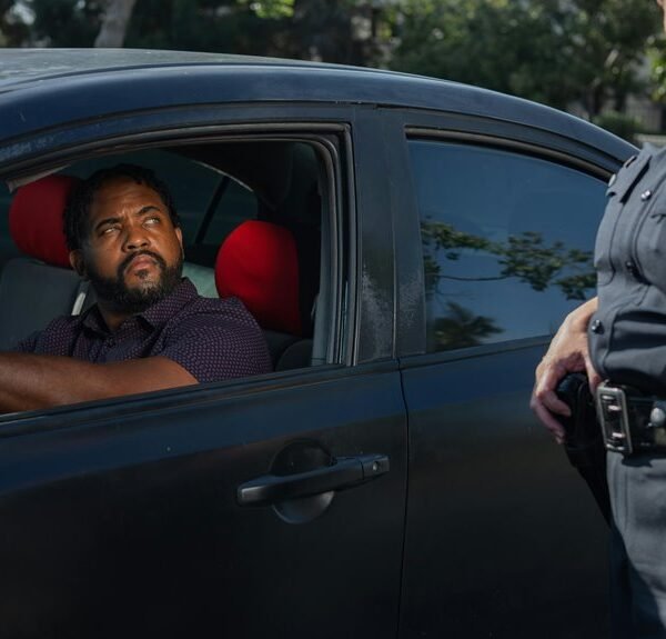 seo authority with backlinks