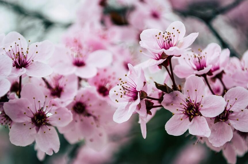 seo for website growth